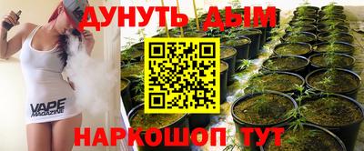 spice Кингисепп