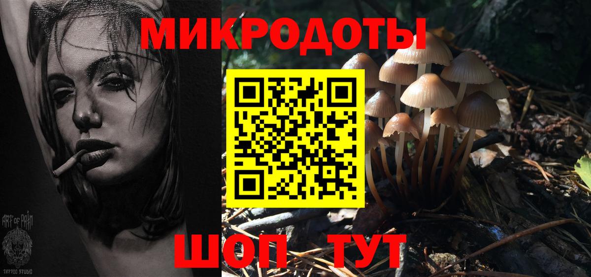 сколько стоит  Галлюциногенные грибы Cubensis  Вход с VPN  Кунгур 